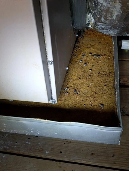 HVAC system condensation with rust and debris in a drain pan.