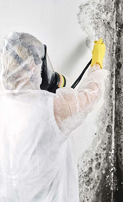 Mold remediation specialist in hazmat suit spraying mold on a wall.